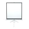 EliteScreens 99" (1:1) mobil háromlábú vászon T99NWS1 (178 x 178 cm, Fehér)