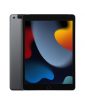 Apple 10.2-inch iPad 9 Cellular 64GB - Space Grey