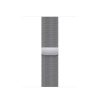 Apple Watch 41mm Band: Silver Milanese Loop