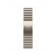 Apple Watch 42mm Link Bracelet:  Natural Link Bracelet