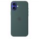 Apple iPhone 16 Plus Silicone Case with MagSafe - Lake Green (Seasonal)